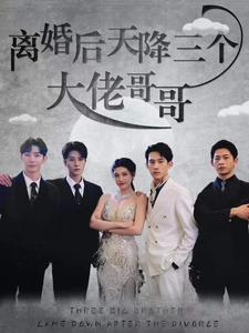 离婚后天降三个大佬哥哥(83集) 离婚后天降三个大佬哥哥(83集)短剧追不停