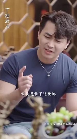 玲珑战婿(99集) 玲珑战婿(99集)全部免费看全集