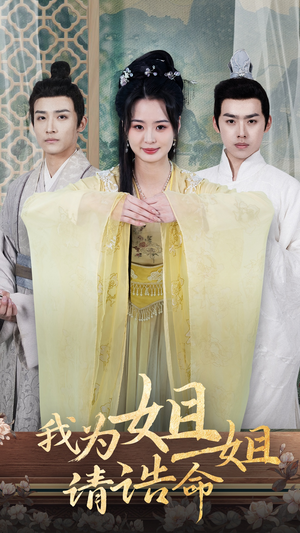 我为姐姐请诰命(65集) 我为姐姐请诰命(65集)口碑之选免费看