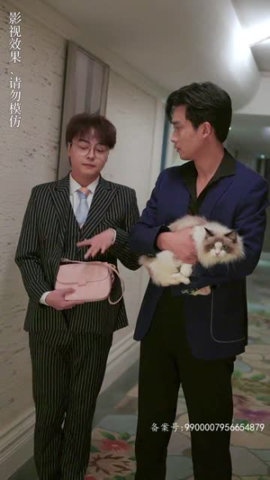 变成猫后我被死对头宠上天(86集) 变成猫后我被死对头宠上天(86集)短剧免费分享