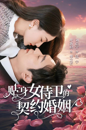 贴身女侍卫的契约婚姻(91集) 贴身女侍卫的契约婚姻(91集)热播短剧分享