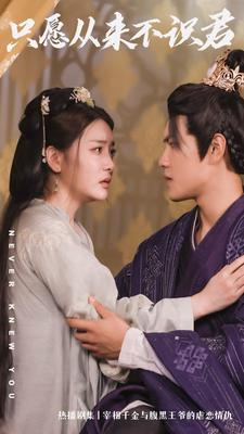 只愿从来不识君(80集) 只愿从来不识君(80集)女主谁演的