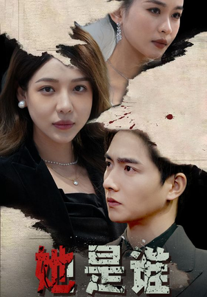 她是谁(79集) 她是谁(79集)完整版