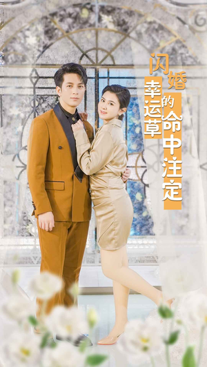 闪婚幸运草的命中注定(82集) 闪婚幸运草的命中注定(82集)温柔追捕短剧