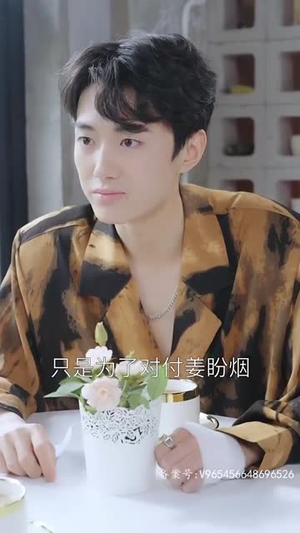 余生不再有你（87集）第一季