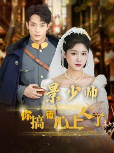 景少帅你搞错心上人了(100集) 景少帅你搞错心上人了(100集)我真的爱了