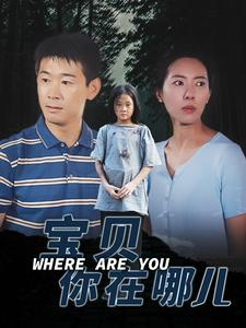 宝贝你在哪儿(30集) 宝贝你在哪儿(30集)全季一次看完