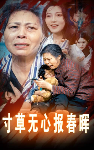 寸草无心报春晖(31集) 寸草无心报春晖(31集)演员表