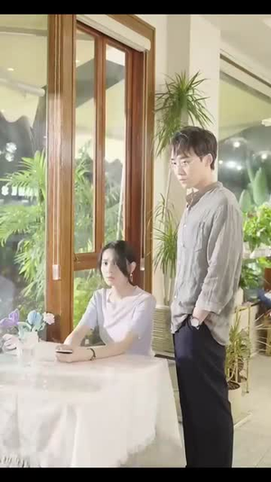 冲破婚姻的风暴(29集) 冲破婚姻的风暴(29集)爆火短剧推荐