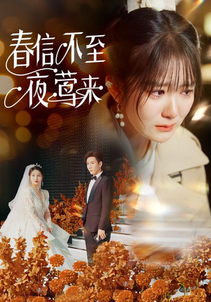 春信不至夜莺来(50集) 春信不至夜莺来(50集)短剧太精彩