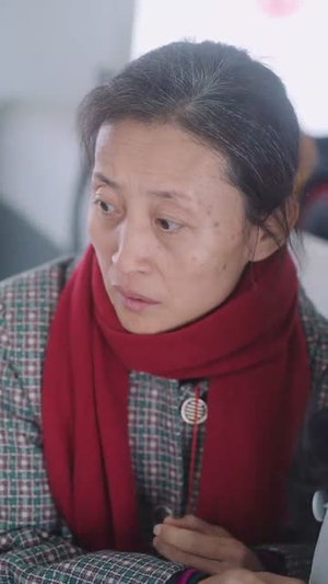 春运归途团圆年(40集) 春运归途团圆年(40集)精彩短剧又来了