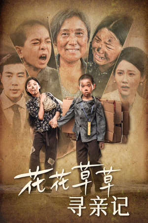 花花草草寻亲记(42集) 花花草草寻亲记(42集)无需会员免费看