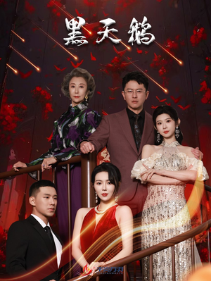 黑天鹅(51集) 黑天鹅(51集)更新时间