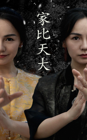 家比天大(63集) 家比天大(63集)在线播放