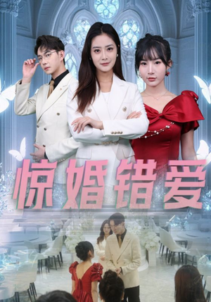 惊婚错爱(30集) 惊婚错爱(30集)在线观看全集