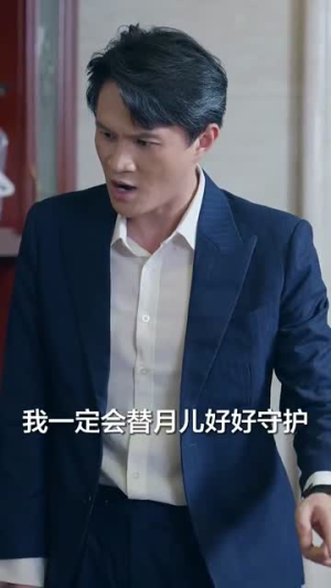 何处是归宿（60集）短剧解说热门