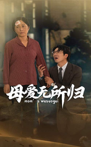 母爱无所归(33集) 母爱无所归(33集)红果短剧免费看