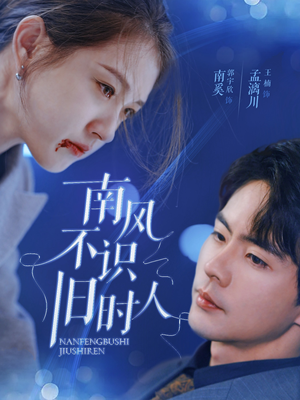 南风不识旧时人(63集) 南风不识旧时人(63集)一共多少集