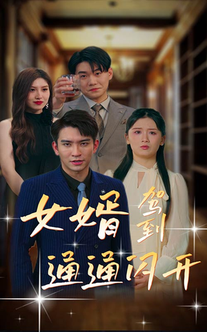 女婿驾到,通通闪开(34集) 女婿驾到,通通闪开(34集)解说文案