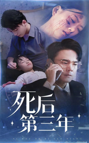 死后第三年(30集) 死后第三年(30集)经典老剧免费看