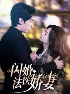 闪婚法医娇妻(92集) 闪婚法医娇妻(92集)好看吗
