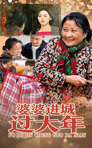婆婆进城过大年(33集) 婆婆进城过大年(33集)集免费看短剧