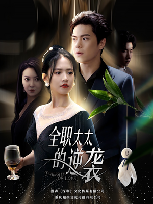 全职太太的逆袭(80集) 全职太太的逆袭(80集)在线看