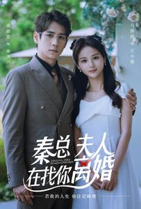 秦总,夫人在找你离婚(79集) 秦总,夫人在找你离婚(79集)免费看全网短剧