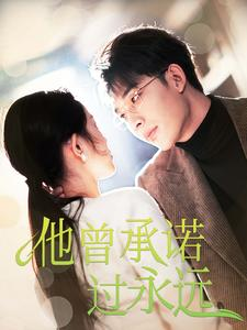 他曾承诺过永远(70集) 他曾承诺过永远(70集)在线播放