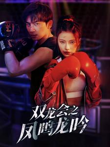 双龙会之凤鸣龙吟（80集）短剧精彩绝伦