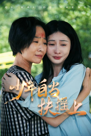 少年自当扶摇上(30集) 少年自当扶摇上(30集)全集在线看