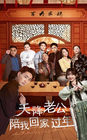 天降老公陪我回家过年(60集) 天降老公陪我回家过年(60集)全集免费观看