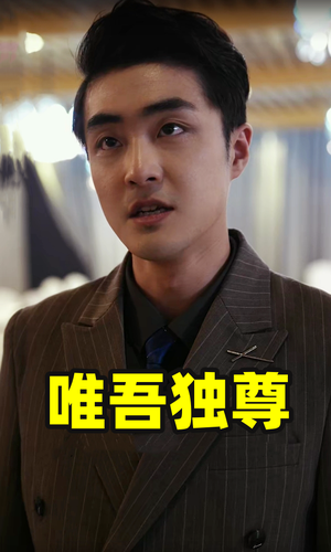 唯吾独尊(96集) 唯吾独尊(96集)全集一网打尽