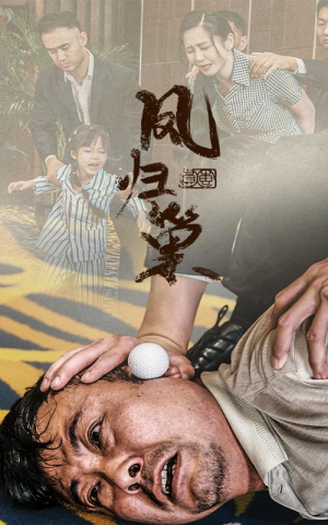 新版:凤归巢(68集) 新版:凤归巢(68集)在哪里可以看