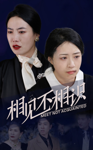 相见不相识(34集) 相见不相识(34集)短剧也太好看了