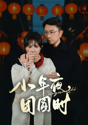 小年夜万家灯火没有我(35集) 小年夜万家灯火没有我(35集)经典回顾免费看