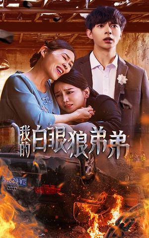 我的白眼狼弟弟(69集) 我的白眼狼弟弟(69集)全集完整版