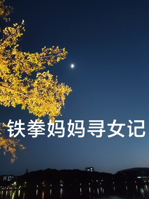 铁拳妈妈寻女记(69集) 铁拳妈妈寻女记(69集)短剧完整版免费