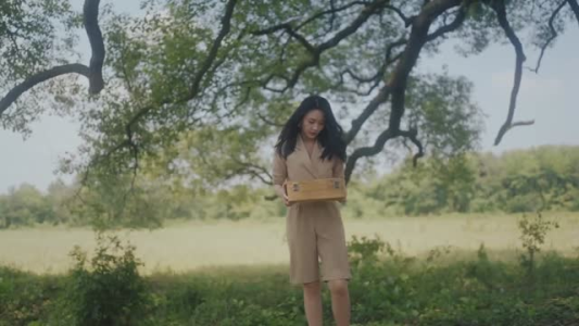 向她逆光而来(26集) 向她逆光而来(26集)在线免费观影