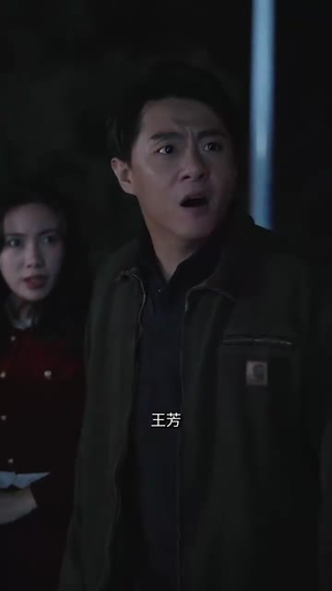 有钱没钱回家过年(35集) 有钱没钱回家过年(35集)演员表