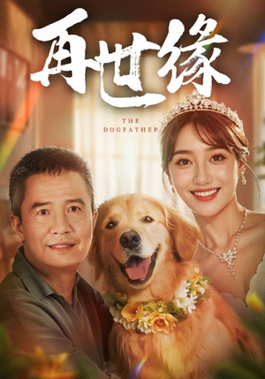 再世缘(41集) 再世缘(41集)热门短剧看不停