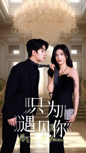 只为遇见你(88集) 只为遇见你(88集)最新热剧免费看