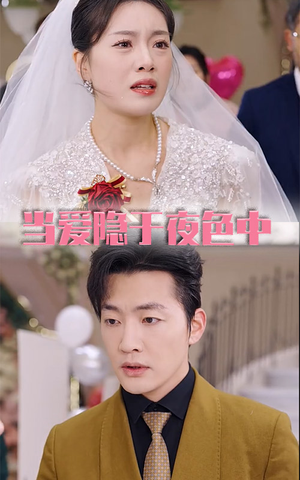 当爱隐于夜色中(37集) 当爱隐于夜色中(37集)好看到停不下来