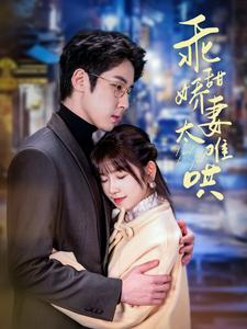 乖甜娇妻太难哄(100集) 乖甜娇妻太难哄(100集)在线看完整版