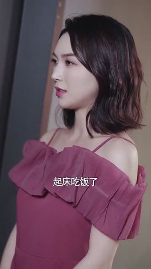 消失的光(30集) 消失的光(30集)解说