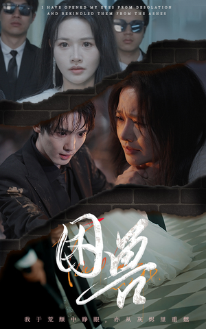 困兽(31集) 困兽(31集)看过的人都说好