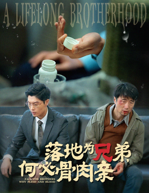 落地为兄弟,何必骨肉亲(60集) 落地为兄弟,何必骨肉亲(60集)第32集