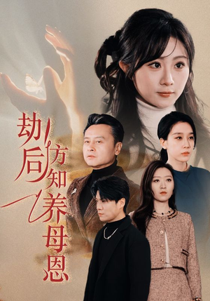 劫后方知养母恩(45集)  劫后方知养母恩(45集) 全集完整版
