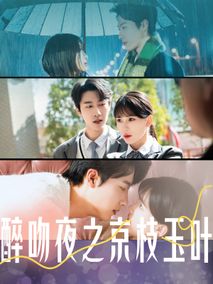 醉吻夜之京枝玉叶（90集） 去哪里看