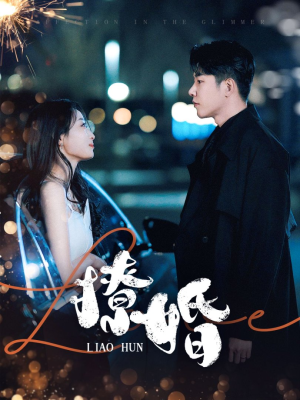 撩婚(90集)  撩婚(90集) 全网独播免费看